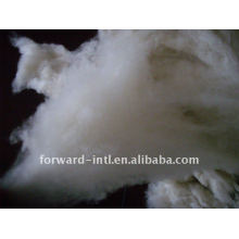 100% pure dehaired unwashed pashmina wool